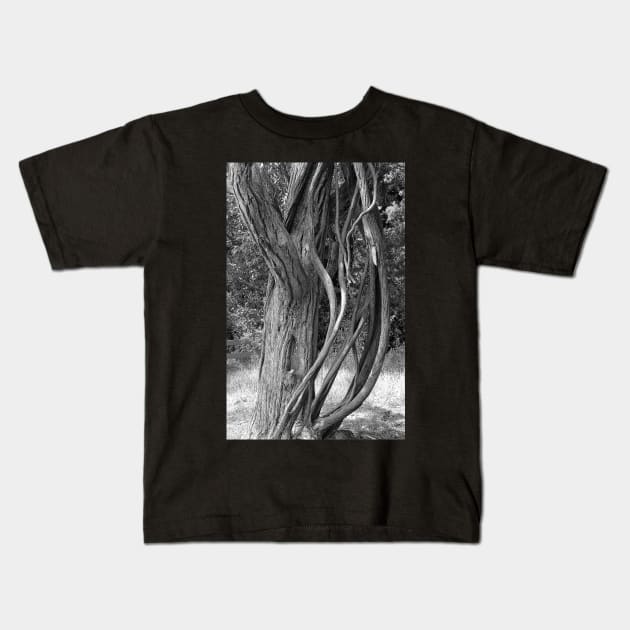 Road to Hana Flora Study 5 Kids T-Shirt by bobmeyers